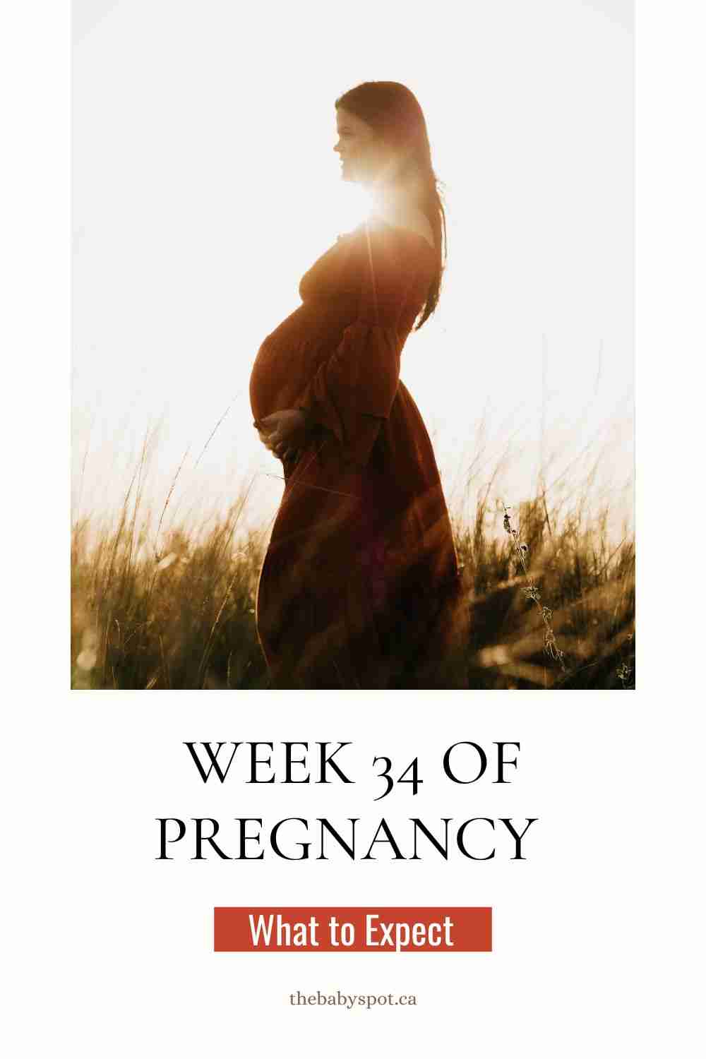 Week 34 eWeek 34 of Pregnancy - What To Expect